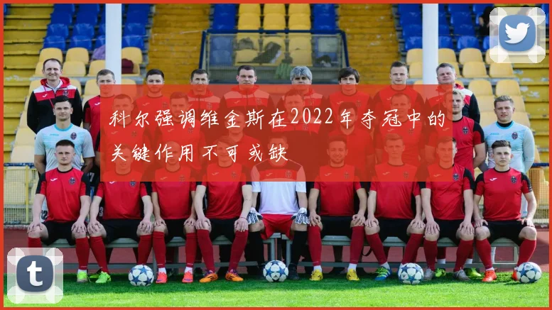科尔强调维金斯在2022年夺冠中的关键作用不可或缺